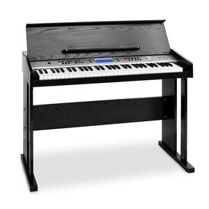 Imagine SCHUBERT Carnegie-61 Electronic Piano, 61-cheie MIDI