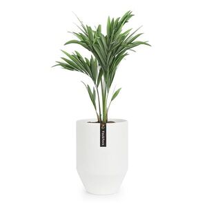 Imagine Fox & Fern Almere ghiveci Polystone ideal pentru plante, lucrat manual, conic