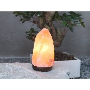 Imagine Lampa din piatra de sare Beper, 8.9x17 cm, E14, 15W, piatra naturala/lemn de fag, multicolor