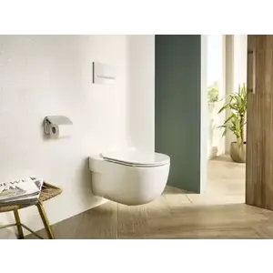 Imagine Vas WC Roca Meridian Rimless suspendat 36x56 cm evacuare orizontala