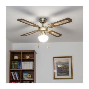 Imagine lator de tavan ZE NAVAGIO 1xE27/60W/230V maro