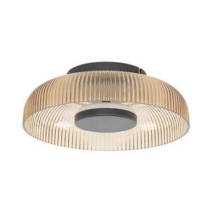 Imagine Plafonieră LED PASSO WL-36482-YLL-LED, 8 W, 230 V, 3000 K, Ø 25 cm, bej fumuriu