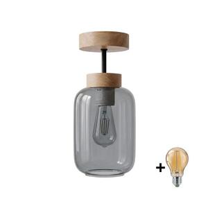 Imagine BRILAGI - Lustru LED aplicat R GLASS 1xE27/60W/230V Ø 14 cm stejar/gri fumuriu