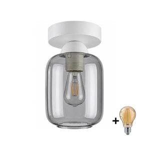 Imagine BRILAGI - Lampă LED de tavan R GLASS 1xE27/60W/230V Ø 14 cm alb/gri fumuriu