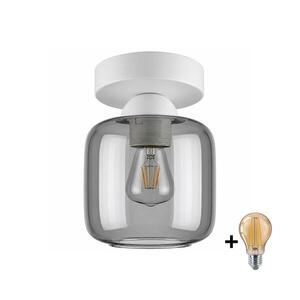 Imagine BRILAGI - Plafonieră LED R GLASS 1xE27/60W/230V Ø 14 cm alb/gri fumuriu