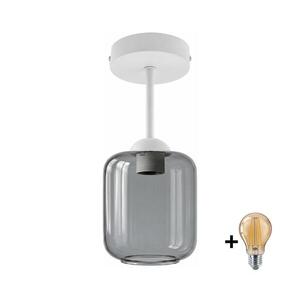 Imagine BRILAGI - LED plafonieră aplicată R GLASS 1xE27/60W/230V Ø 14 cm alb/gri fumuriu
