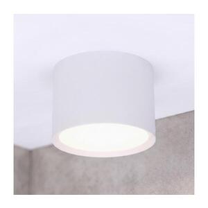 Imagine BRILAGI - Corp de iluminat spot pentru baie SMOOTH 1xGX53/15W/230V 60x82 mm alb IP54