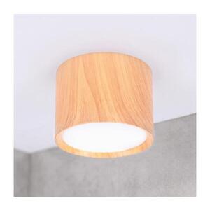 Imagine BRILAGI - Corp de iluminat tip spot SMOOTH 1xGX53/15W/230V 60x82 mm decor stejar
