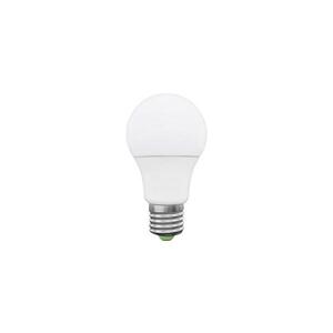Imagine Bec LED E27/10W/230V 4000K