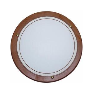 Imagine Plafonieră Top Light 5502/40/TD 2xE27/60W/230V pin