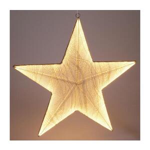 Imagine Decorațiune LED de Crăciun 248xLED/6W/230V, 59 cm, alb cald, stea/aurie