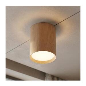 Imagine BRILAGI - Corp de iluminat tip spot SMOOTH LONG 1xGX53/15W/230V 100x82 mm finisaj stejar