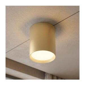 Imagine BRILAGI - Spot de iluminat SMOOTH LONG 1xGX53/15W/230V 60x82 mm auriu
