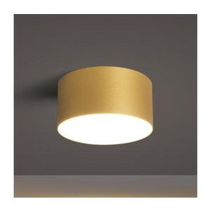 Imagine BRILAGI - Plafonieră LED de exterior FORIS LED/14W/230V Ø 12 cm aurie IP4