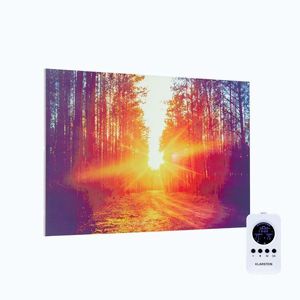 Imagine Klarstein Wonderwall Air Art Infinite, încălzitor infraroșu, imagine, 90 x 60 cm, 580 W, montat pe perete, telecomandă