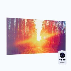 Imagine Klarstein Wonderwall Air Infinite, încălzitor cu infraroșu, imagine, 120 x 60 cm, 720 W, montat pe perete, telecomandă